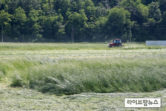 올 하반기에는 농지연금 압류가 금지되는 수급전용계좌가 도입되고 동물실험 윤리성 제고·등록제 강화로 동물복지 가 향상된다. 정부는 이같은 내용을 담은 '2020년 하반기부터 이렇게 달라집니다' 책자를 발간했다.