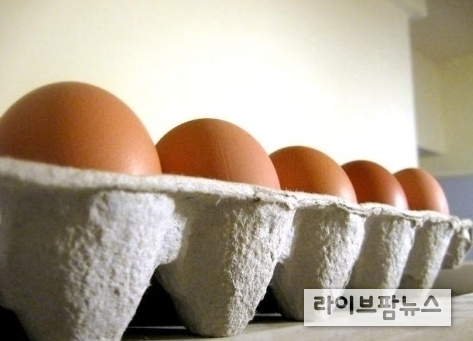 근육 손실을 막기 위해선 실내에서 할 수 있는 가벼운 운동을 땀이 나게 하고 매일 먹어도 맛있는 최고급 단백질 계란을 섭취하면 도움이 된다.
