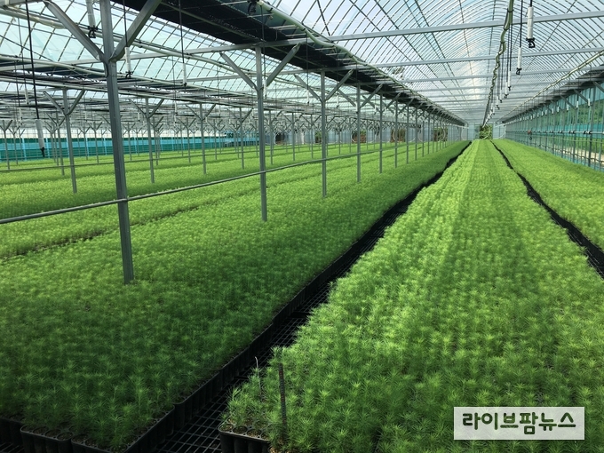 산림청은 8월 14일까지 ‘양묘시설 현대화 사업’ 공모 신청을 받는다.
