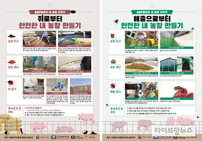 정부가 장마찰 이후 ASF 농장유입 방지를 위해 제거와 돈사 출입시 손 소독, 장화 갈아신기 등 방역수칙 준수에 만전을 기해 줄 것을 당부했다.