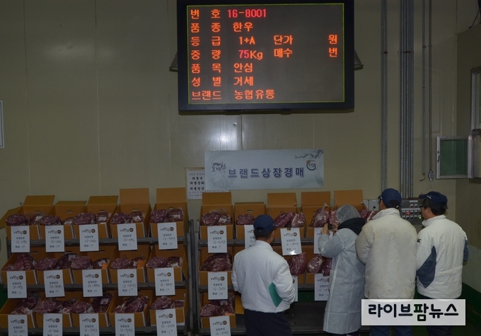 농협 경제지주 음성축산물공판장은 한우고기 부분육 상장 및 경매 사업을 본격 추진했다.