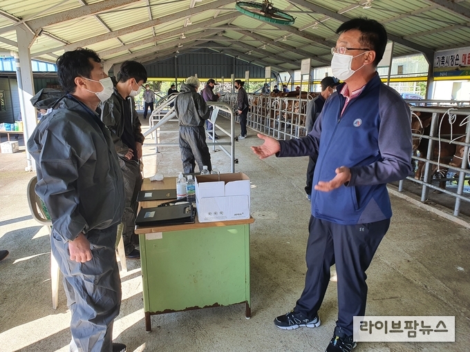 축산물품질평가원 제주지원은 15일 서귀포시축협 가축시장을 찾아 소(牛) 가축거래상인의 양수·양도신고 의무화등에 대한 홍보활동을 진행했다.