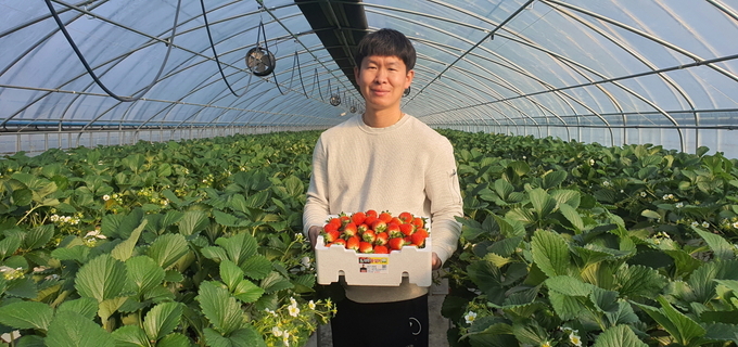 진천군 이호명씨 생산량 증대 딸기 육묘시설 개발(사진 제공 충북도청)