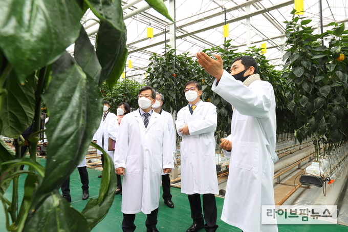 4일 허태웅 농촌진흥청장이 경상남도농업기술원의 시설원예 스마트팜 교육장 '에이텍(ATEC)'을 찾아 첨단 온실에서 재배 중인 토마토의 생육상황을 보고 받고 있다.