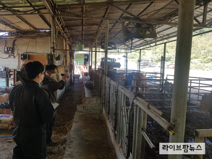 축산물품질평가원 광주전남지원은 축산물이력제 취약농가를 대상으로 9일부터 일제점검을 실시하고 있다.