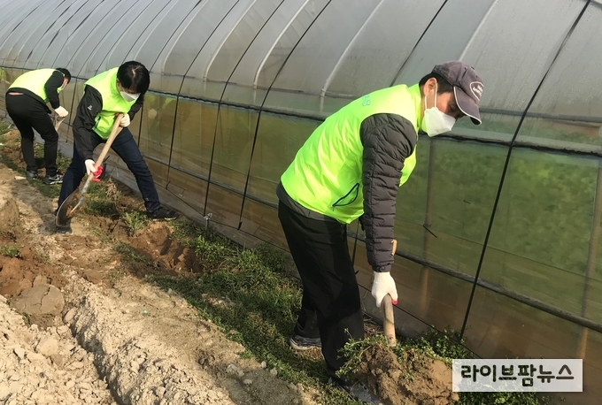 강석용 인재개발원장( 맨앞)을 비롯한 농협 교육담당 직원들이 3월 23일 경기도 일산 소재 시설채소 재배 농가를 찾아 일손돕기를 하고 있다.