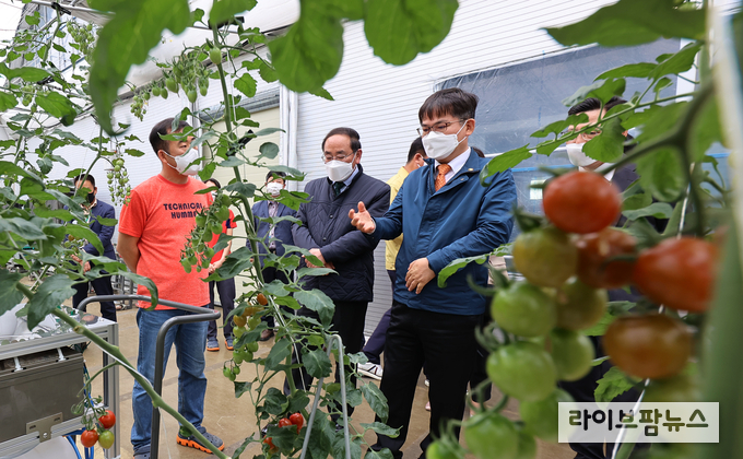 귀농 토마토농장을 방문한 허태웅 농진청장<사진 오른쪽>