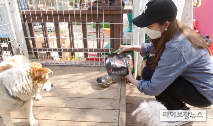 성유리씨가 봉사활동을 하며 개에게 사료를 주고 있다.