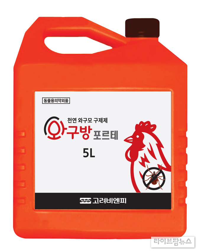 비엔피 이미지