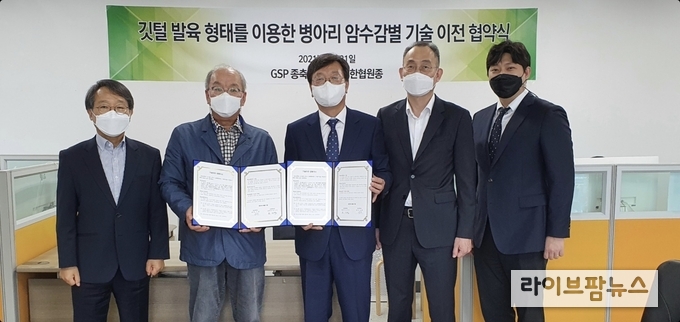 농림식품기술기획평가원은 ‘농가에서 병아리 깃털을 보고 병아리 암수를 구분하는 자가 성감별’ 특허를 한협원종과 기술이전 계약을 체결했다.