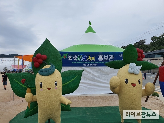 2021 함양산삼항노화엑스포가 지난 10일부터 10월 10일까지 경남 함양군 일원에서 ‘천년의 산삼, 생명 연장의 꿈’이라는 주제로 막을 올렸다. 사진은 엑스포 전경.