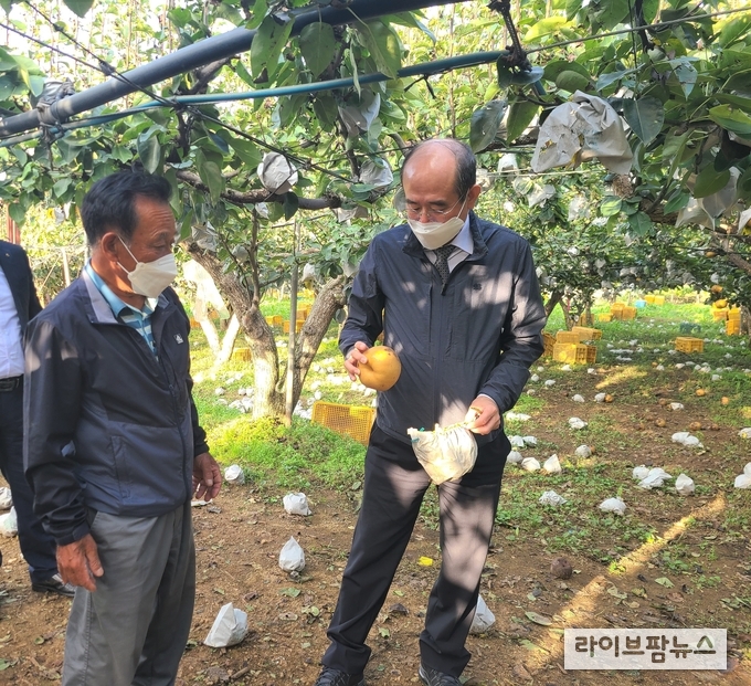 농협중앙회 유찬형 부회장(오른쪽)은 5일 충남 천안시 성환읍 소재 배 재배농가를 방문하여 강풍과 우박으로 인한 피해상황을 점검했다.