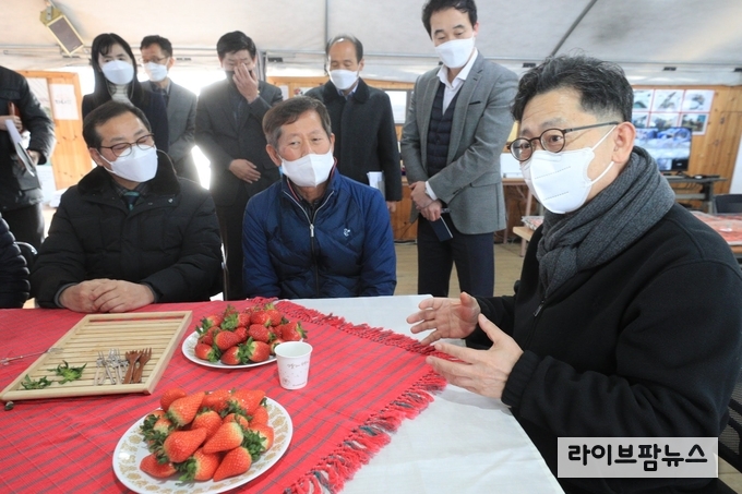 11일 김현수 농림축산식품부 장관이 충남 논산시 소재 딸기 재배 농가를 방문, 딸기 작황 및 출하 상황을 점검했다.<br>
