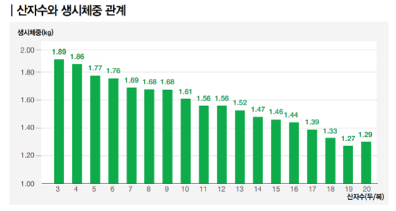 산자수와 생시체중 관계 그래프