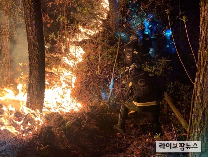 산림청 산불진화대원 야간진화 사진.