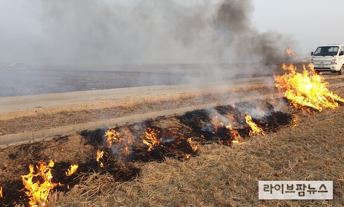 논두렁 태우기가 생육기 해충 발생에 미치는 영향을 조사한 결과 방제효과가 미미한 것으로 나타났다. 