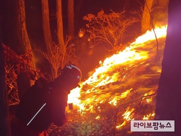 국립산림과학원은 강원 영동지역, 경북 북동 산지, 경북 동해안을 중심으로 순간 풍속 25m/s 이상의 강한 바람이 예상된다며 해당지역에 대형산불 위험예보를 발령했다.