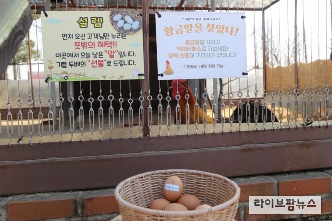 농협 안성팜랜드는 봄을 맞아 3월 한 달 동안 ‘얼리버드 이벤트’를 진행한다. 