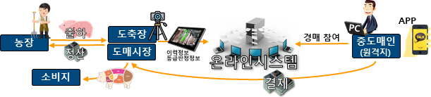 축산물 온라인 경매 플랫폼 구축