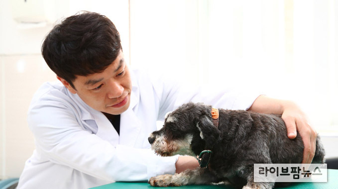 농림축산식품부는 지난 1월 개정된 ‘수의사법’에 따라 사전에 설명 및 서면동의를 받아야 하는 수술 등 중대진료의 범위, 동물병원에 진료비를 게시해야 하는 진료행위의 범위 등을 담은 수의사법 시행령 및 시행규칙이 7월 5일 공포된다.