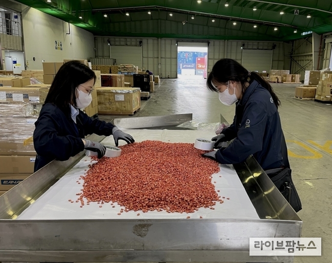 농림축산검역본부 영남지역본부는 11일부터 8월 12일까지 1개월에 걸쳐 ‘가을 파종용 수입 종자류 특별검역’을 실시한다. 사진은 현장검역 모습.