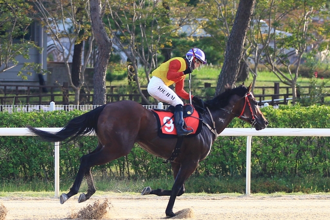 히트예감
