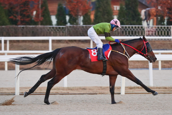 <strong>라온더파이터</strong>