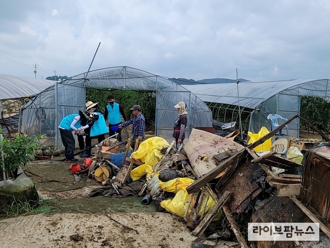 농식품부는 호우피해가 심각한 충남 지역에서 17일 농업 분야 응급 복구 지원을 위한 일손돕기를 실시했다.