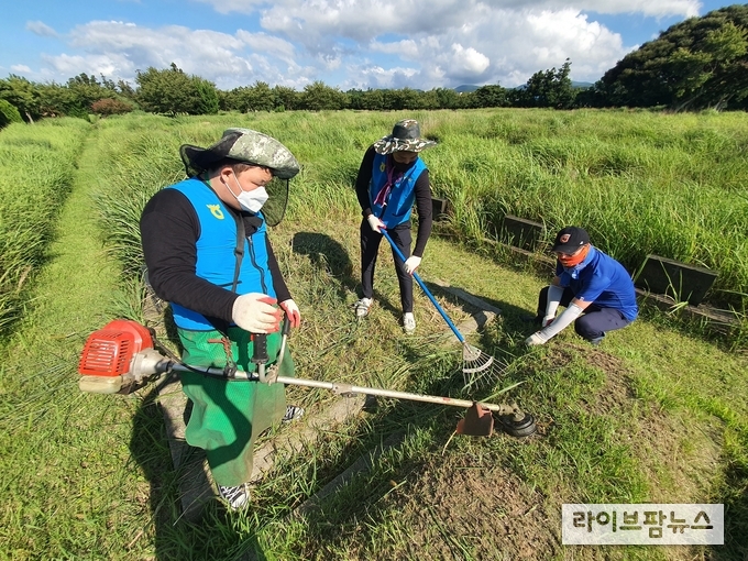 농협은 민족 대명절인 추석을 앞두고 추석 벌초대행 서비스를 제공한다. 'NH농협 벌초대행' 스마트폰 앱 등으로 간편하게 신청할 수 있다.