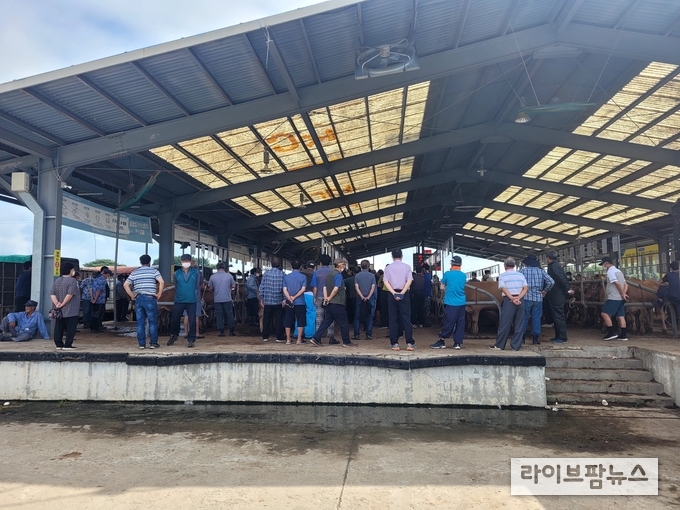 농림축산식품부는 추석 성수기 한우암소와 돼지의 공급 안정화를 위해 22일부터 9월 8일까지 추석 성수기 한우 암소·돼지 출하 수수료 지원 사업을 추진한다. 한우 암소는 마리당 10만원, 돼지는 마리당 1만원을 사후 지급한다.