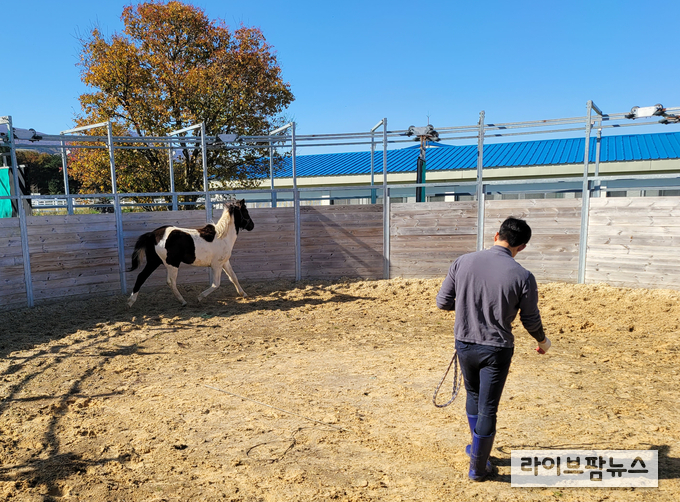 지구력 측정을 위한 운동 모습.