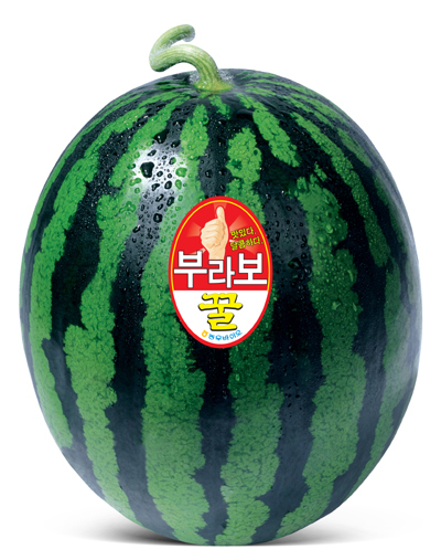 부라보꿀 수박