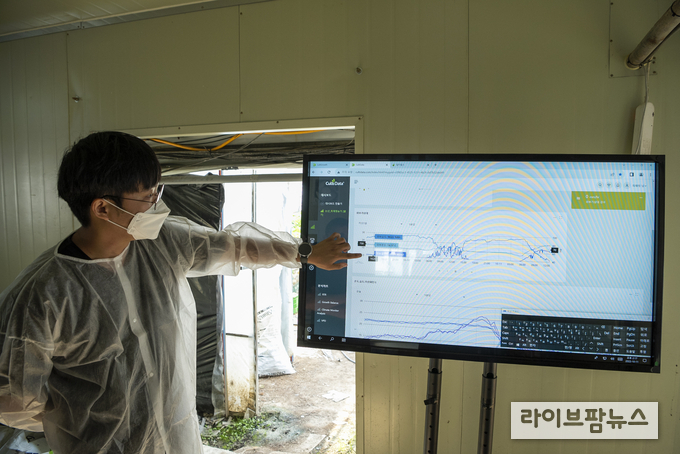 청년농업인이 모니터를 통해 딸기의 환경제어 데이터 정보를 확인하고 있다.