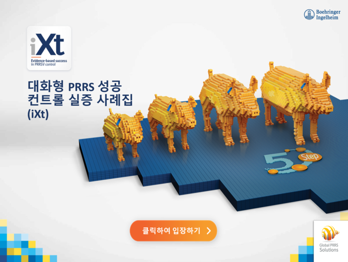 한국베링거인겔하임동물약품㈜이 대화형 PRRS성공 컨트롤 실증 사례집 (iXt)을 발간했다.