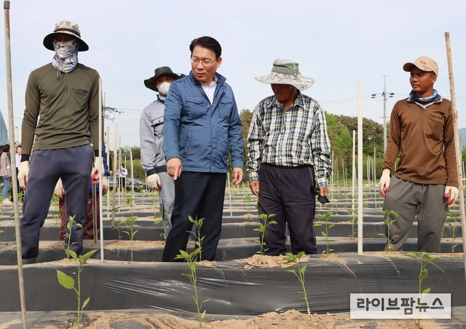 김인중 농림축산식품부 차관은 2일 오후, 전라북도 임실군 오수관촌농협 및 고추 재배 농가를 방문하여 농번기 공공형 계절근로사업 추진현황과 인력수급 동향을 점검했다.