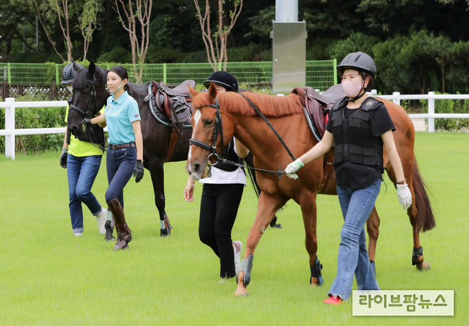 한국마사회(회장 정기환)는 이번 5월부터 11월까지 2차수에 걸쳐 렛츠런파크 서울 내 재활힐링승마 전용마장인 힐링하우스에서 장애인 가족을 위한 과정과 지역사회 시니어 대상 시범과정을 운영한다고 발표하고, 신청자 모집에 나섰다. 