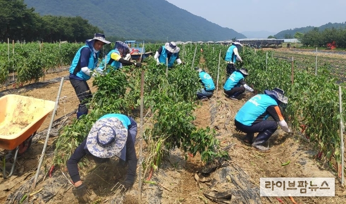한국농어촌공사는 수해 피해가 발생한 농어촌 지역을 중심으로 복구 활동을 전개하고 있다.