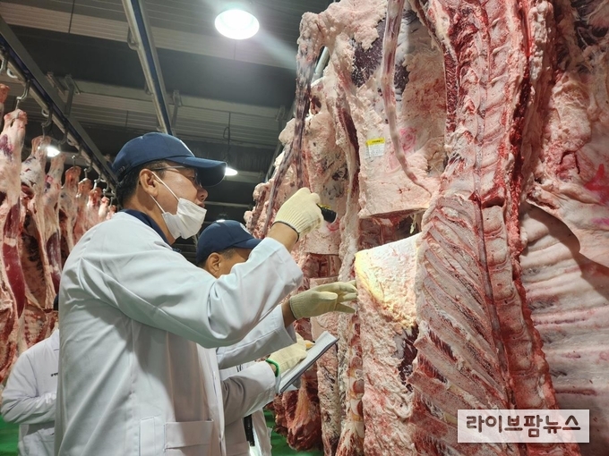 고급육 경진대회 심사 모습.