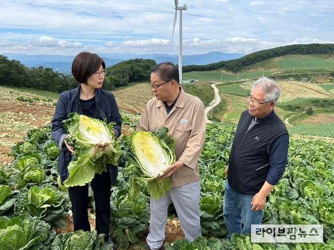 박수진 농림축산식품부 식량정책실장은 8월 31일 오후, 강원특별자치도 강릉시 왕산면 대기리에 위치한 고랭지 배추 밭과 대관령원예농협 채소사업소를 방문, 고랭지 배추·무 생육상황 및 공급 여건을 점검했다.