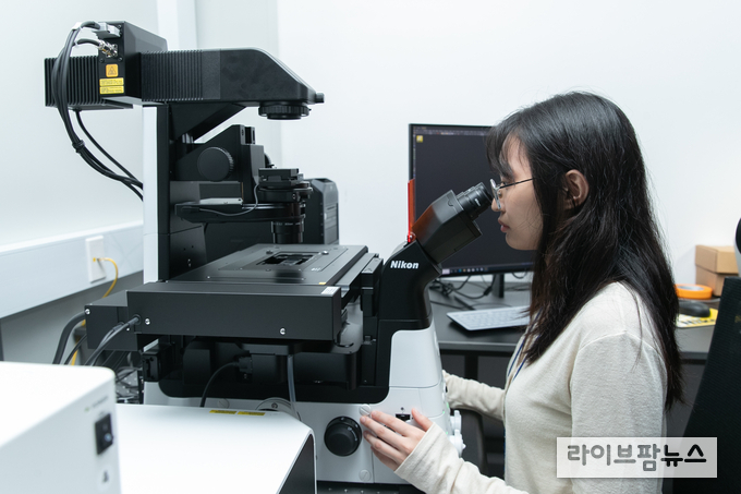 가축 인공 번식기술 2일차 배반포 관찰 및 공초점 현미경 샘플 사진 실습.