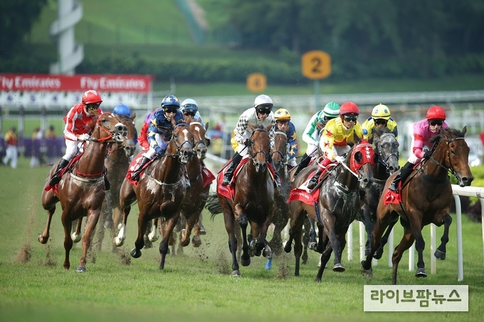 15일부터 경마 온라인 마권 발매 시범운영을 개시한다.