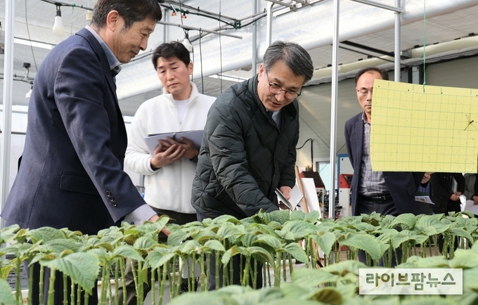 <strong>잎들깨 스마트농업 실증·시험 시설 방문</strong><br>
서효원 농촌진흥청 차장은 14일 충남 금산군농업기술센터 '잎들깨 스마트농업 실증·시험' 시설에서 생육환경 정보 수집기 등 시설 운영 현황을 살펴봤다. <사진제공 = 농촌진흥청>