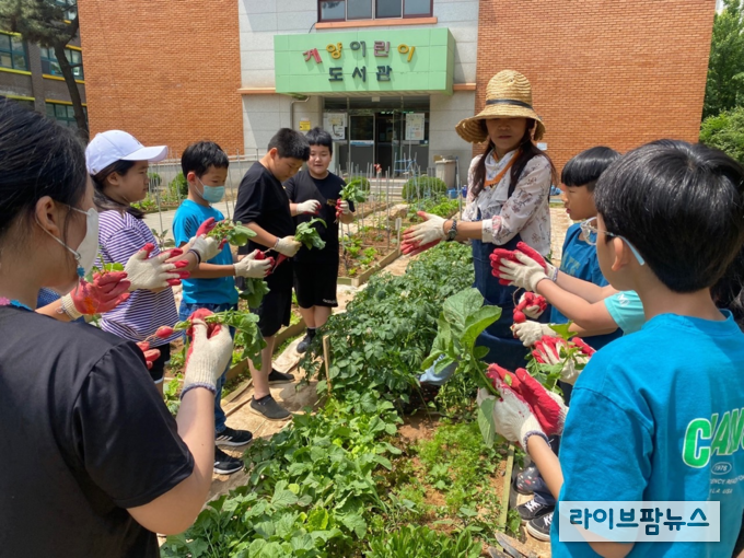 인천시 농업기술센터 원예활동교육 모습.