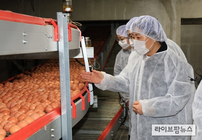 송미령 농식품부 장관은 지난 2월 23일 국내 최대 규모의 지능형 산란계 농장인 경기 포천 소재 가농바이오를 찾아 사료 급이에서부터 계란 생산·세척·선별·포장까지 무인화·자동화로 운영되고 있는 현장을 살펴봤다. 
