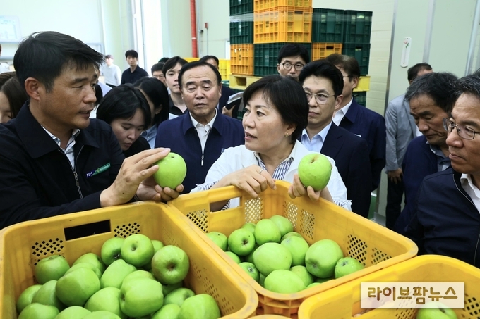 송미령 농림축산식품부 장관은 11일 대구광역시 군위군에 위치한 대구경북능금농협 군위 농산물산지유통센터(APC)를 찾아 햇사과 선별·출하 현장을 점검했다.