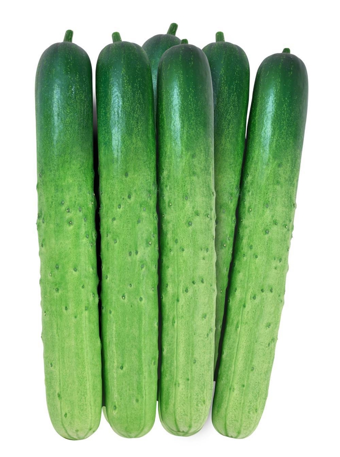 <strong>단청백다다기.</strong>