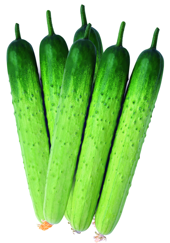 <strong>굿모닝백다다기.</strong>