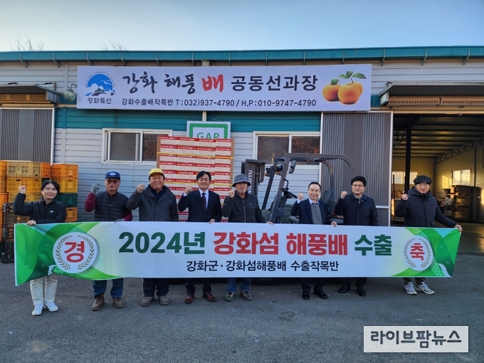 강화섬 해풍배가 대만 수출길에 오른다.(사진=인천강화군)