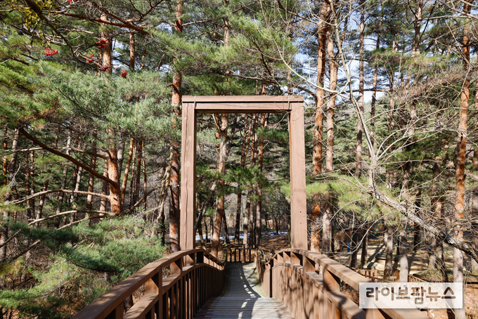 국립한국자생식물원 (사진=오원호 촬영)