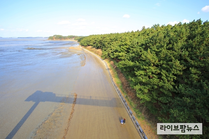 장항송림산림욕장 (사진=김수진 촬영)